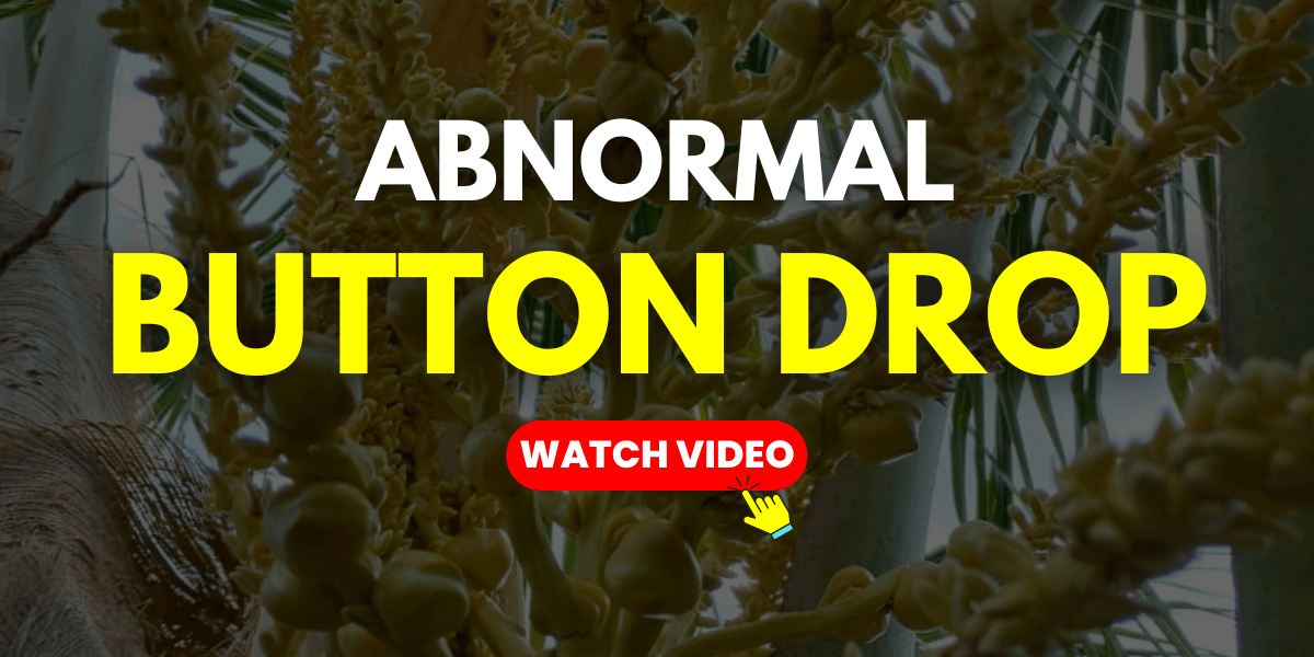 Abnormal Button Drop Video