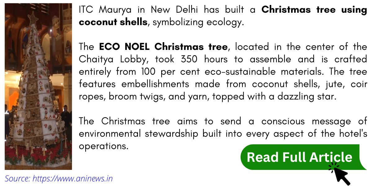 66. ECO NOEL Christmas Tree